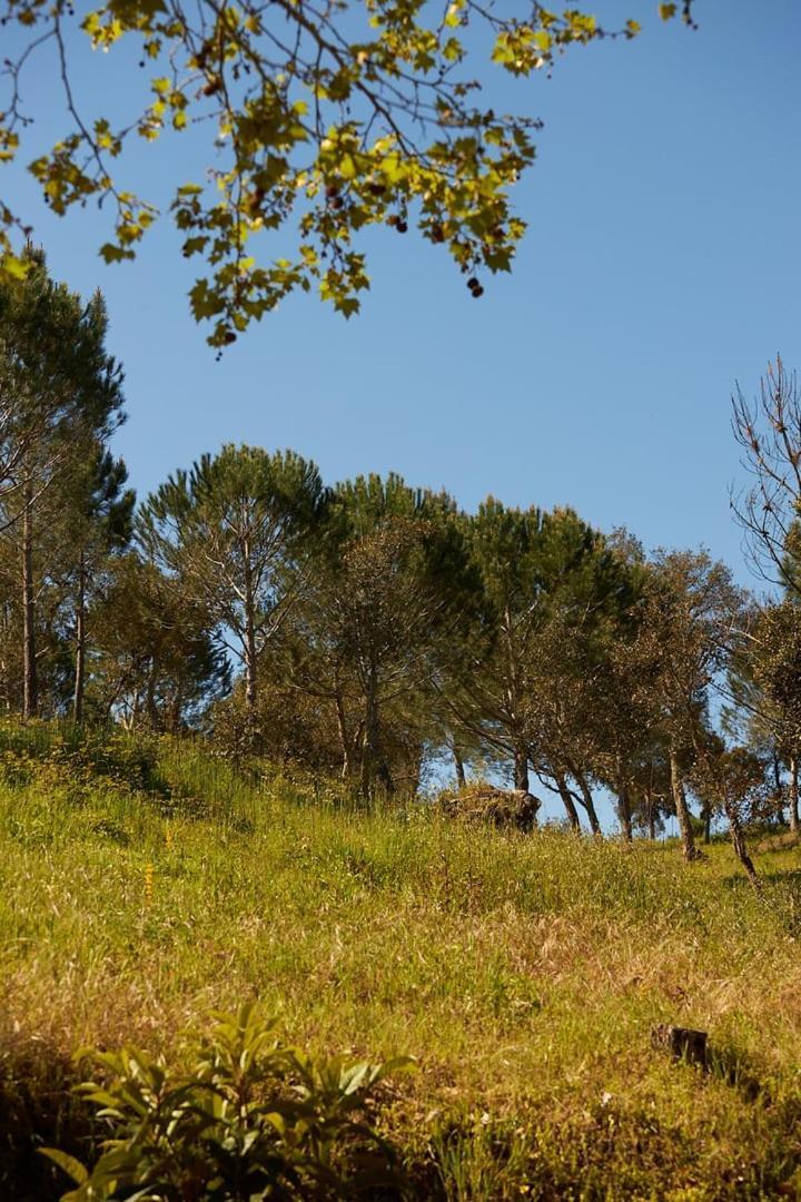 Villa Quinta Do Marmeleiro - Casa Marmeleiro *