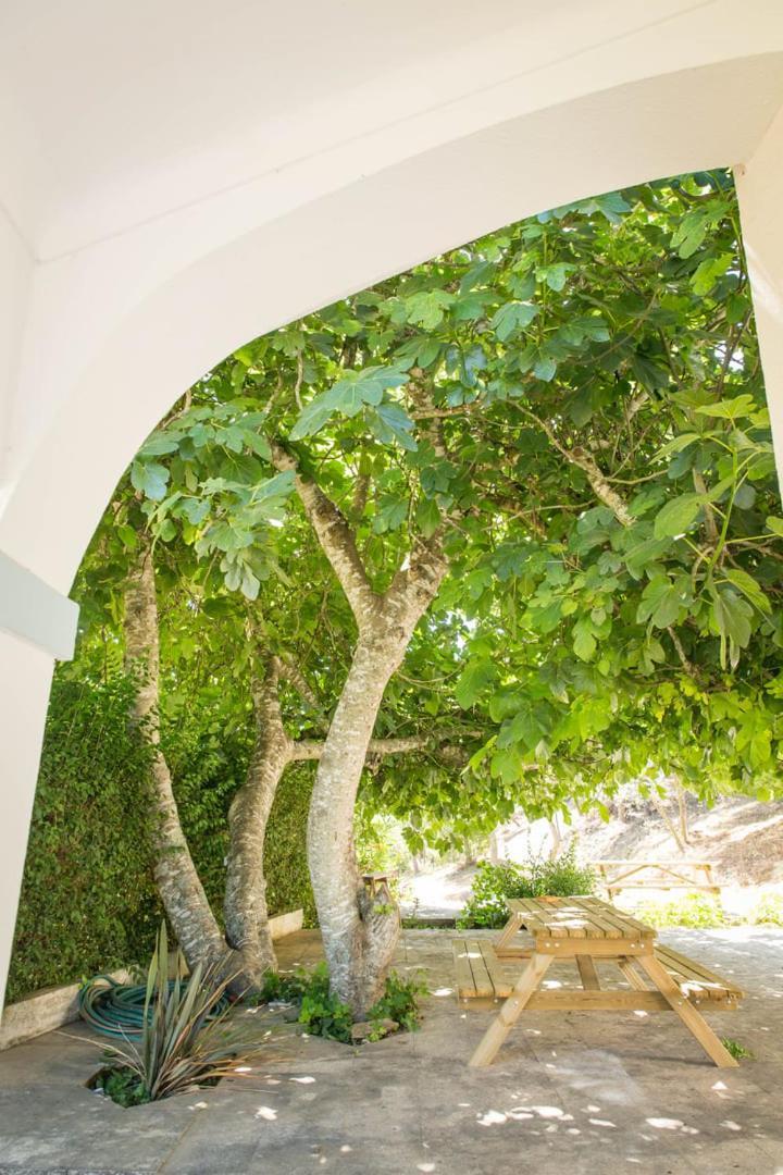 Quinta Do Marmeleiro - Casa Marmeleiro Santiago do Cacem