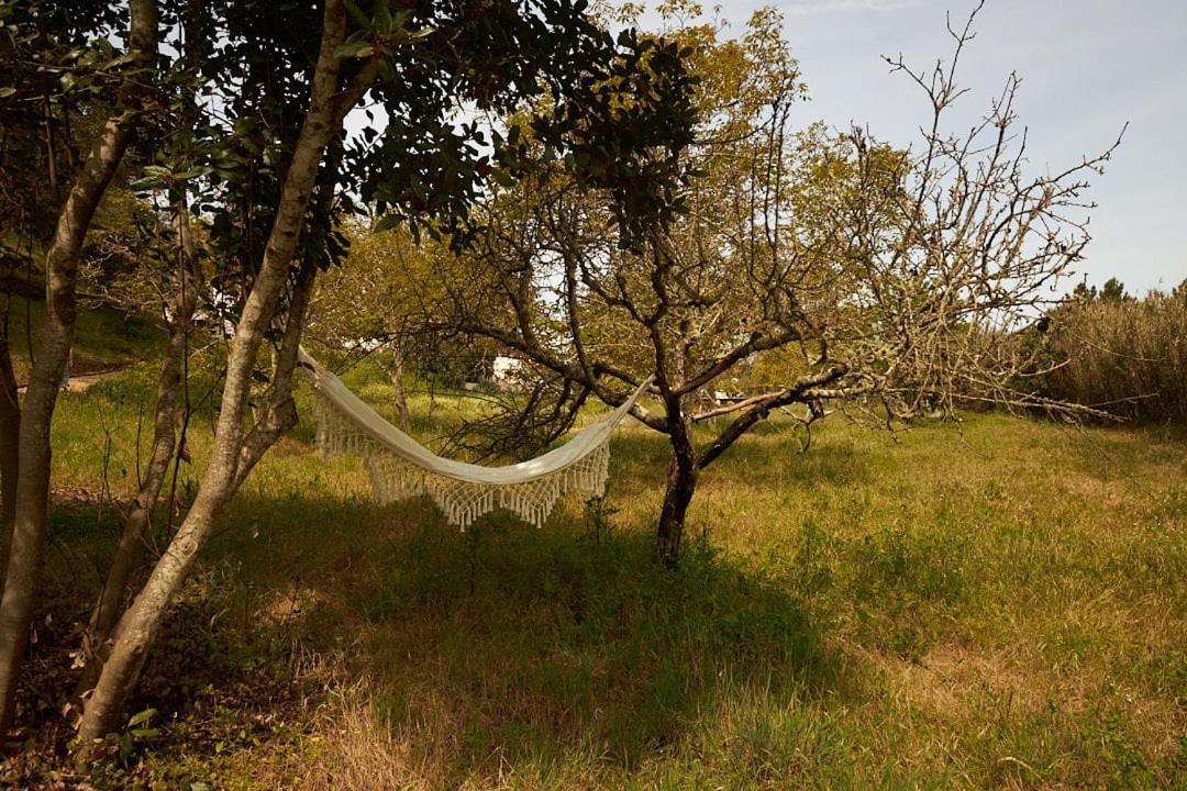 Quinta Do Marmeleiro - Casa Marmeleiro